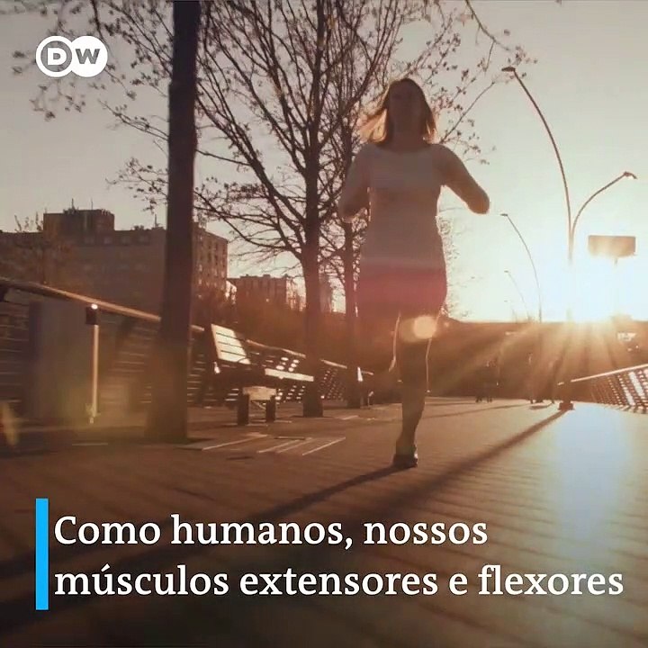 Aranhas mortas viram garras mecânicas em laboratório; entenda
