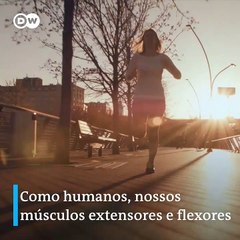 Aranhas mortas viram garras mecânicas em laboratório; entenda