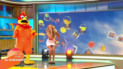 Programación enero 2023