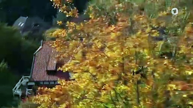 Rote Rosen Folge 3702