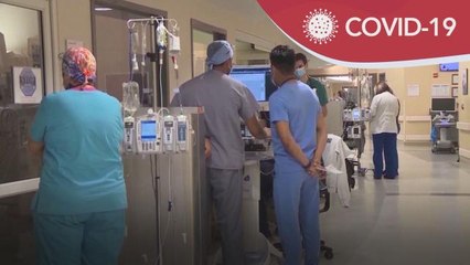 COVID-19 | Subvarian Omicron XBB.1.5 hampir cecah separuh kes di A.S