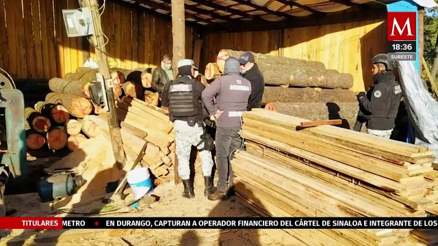 Sedema y Profepa realizan operativo en aserradero del Ajusco, CdMx