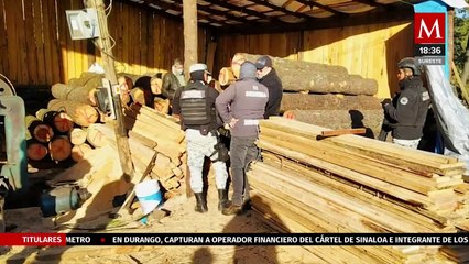 Sedema y Profepa realizan operativo en aserradero del Ajusco, CdMx