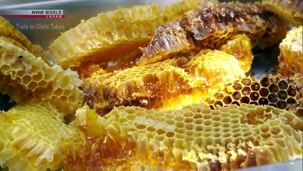 TRAILS TO OISHII TOKYO - HONEY