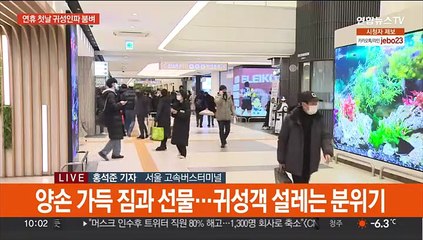 "홍삼들고 갈게, 기다려"…버스 좌석예매율 90%