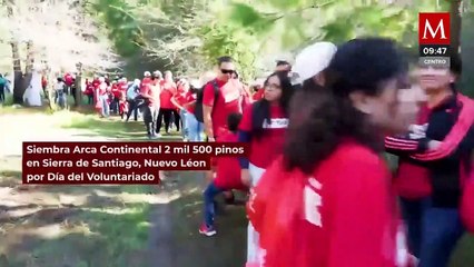 Siembra Arca Continental 2,500 pinos en Santiago Nuevo León