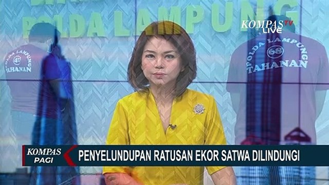 Polda Lampung Tangkap 2 Pelaku Penyelundupan Ratusan Ekor Satwa Dilindungi