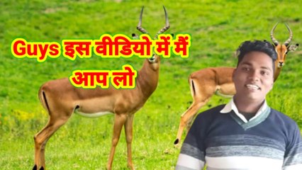 zindagi me kuch accha bhi sikh lo