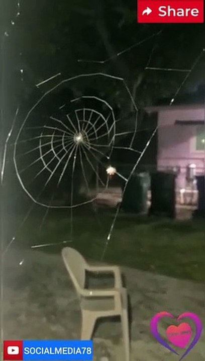 Spider Net