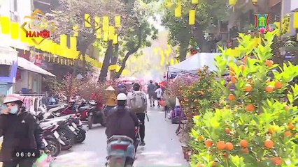 Phong tục chơi hoa ngày Tết