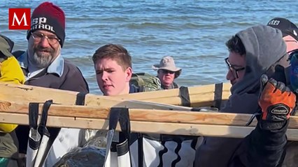 Hallan cráneo fósil de ballena en costa de Estados Unidos; tiene 12 millones de años de antigüedad.