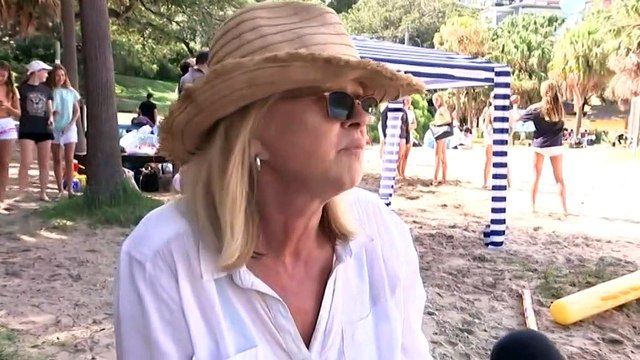 Beaches on Sydney's northern beaches after a shark fatally mauls dolphins