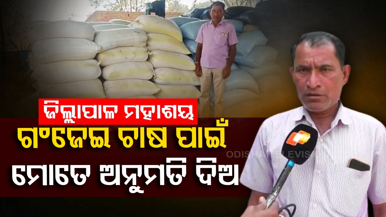 ଗଂଜେଇ ଚାଷ କରିବାକୁ ଜିଲ୍ଲାପାଳଙ୍କ ଅନୁମତି ମାଗିଲେ ଚାଷୀ