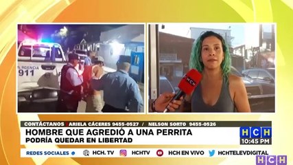 Aberrado sexual que violó a una perrita en Puerto Cortés podría ser dejado en libertad