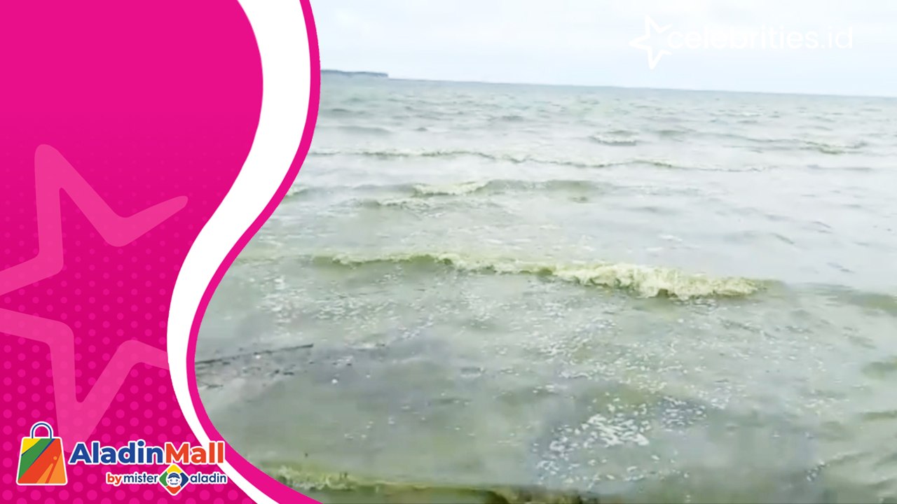 Heboh Fenomena Air Laut Berwarna Hijau, Warga Diimbau Tidak Konsumsi Ikan