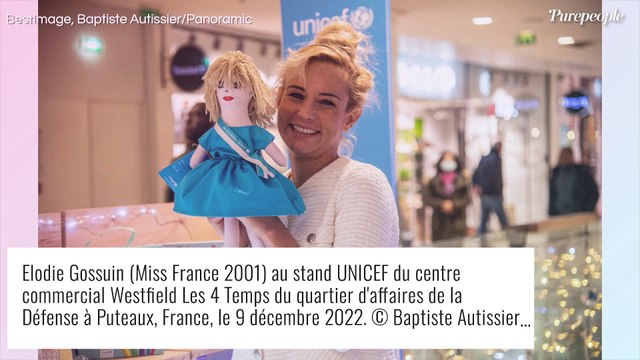 Élodie Gossuin transie d'amour pour Bertrand Lacherie : photo du couple qui a pris 20 ans dans la face