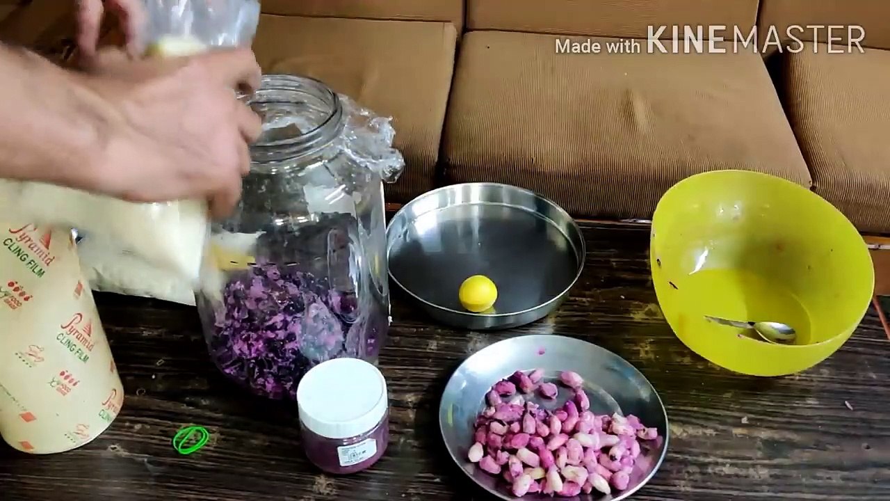 JAMUN WINE // घर में बनाएं जामुन की वाइन Easy Recipe video Dailymotion