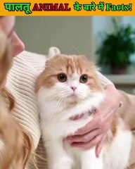 Amazing fact! 3तीन ऐसे पालतू जानवर के बारे में