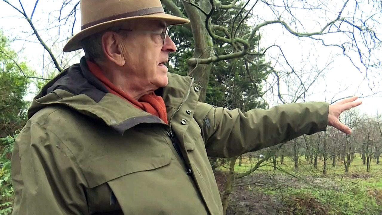 Schatzsucher jagen Nazi-Gold in den Niederlanden