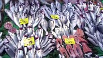 Kilosu 50 liraya kadar düştü... İstanbul’daki tezgahlarda balık fiyatları ne durumda?