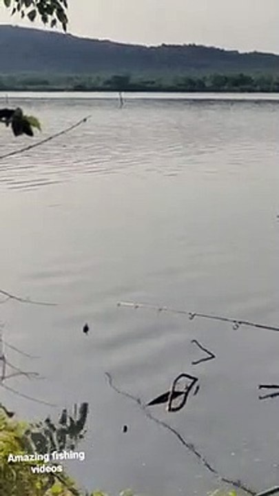 Amazing fishing _short videos _ Fariyaz shaik fishing