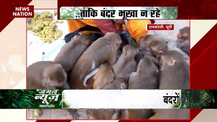 Jungle News : पोलर बियर और इंसान की दोस्ती |