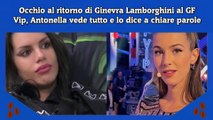 Occhio al ritorno di Ginevra Lamborghini al GF Vip, Antonella vede tutto e lo dice a chiare parole