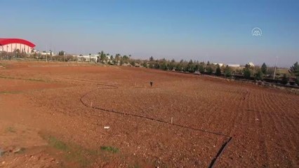 ŞANLIURFA - Güneydoğu'daki kuraklık üreticileri endişelendiriyor