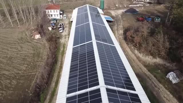 Tavuk üreticileri elektrik ihtiyacını güneş enerjisinden karşılıyor
