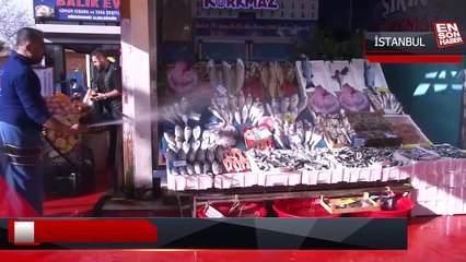 İstanbul'da tezgahlarda hamsi bolluğu yaşanıyor