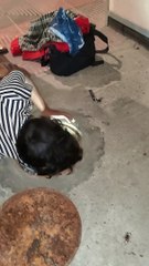 Kitten Rescued and Reunited with Mom