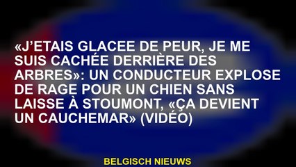 "J'étais gelé de peur, je me suis caché derrière les arbres": un conducteur explose de rage pour un