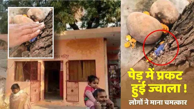 40 साल पुराने हनुमान मंदिर में लगे पेड़ से निकली एक लपट ! लोगों ने माना माँ ज्वाला देवी का स्वरुप