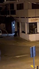 Tres cacos atracan una panadería en Güímar ante los gritos de los vecinos