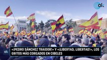 «¡Pedro Sánchez traidor!» y «¡libertad, libertad!», los gritos más coreados en Cibeles