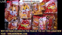 107220-mainWhy Vietnam celebrates the Year of the Cat this Lunar New Year - 1breakingnews.com