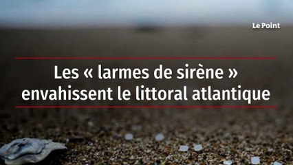 Les « larmes de sirène » envahissent le littoral atlantique