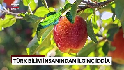 Newton'a Kafa Tutan Türk Bilim İnsanı! "Yer Çekimi Yok, Elmalar Kozmik İtimden Düşüyor" - TGRT Haber
