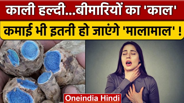Ayurveda के मुताबिक Black Turmeric में छिपे हैं कई राज, कई बीमारियों का है काल | वनइंडिया हिंदी