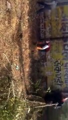पर्यावरण प्रेमियों ने स्टेडियम में चलाया स्वच्छता अभियान