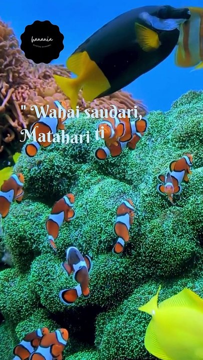 Matahari tidak kehilangan keindahannya saat tertutup awan#short#shorts#dailymotionshort