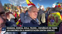 Granada, Murcia, Ávila, Toledo... españoles de todos los rincones en la manifestación contra Sánchez