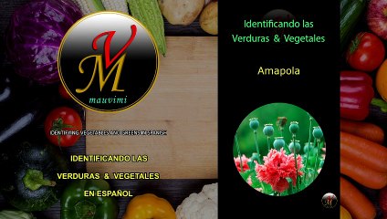 Identificando las Verduras y los Vegetales en Español