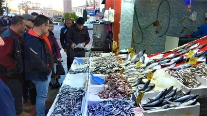 Sıcak hava balığı etkilemedi: Balık bol, satışlar yoğun