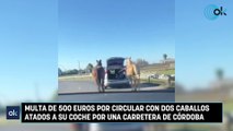 Multa de 500 euros por circular con dos caballos atados a su coche por una carretera de Córdoba