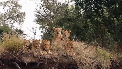 STYX PRIDE play in the SAND RIVER