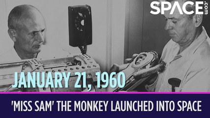 OTD in Space – January 21: 'Miss Sam' the Rhesus Monkey Launched into Space