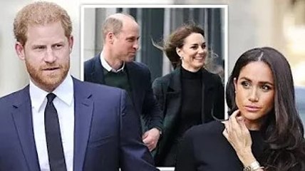 Le prince Harry « vit dans une bulle » – et « apprendra à la dure » alors que la popularité chute