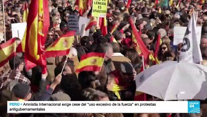 Masiva protesta en Madrid contra el Gobierno de Pedro Sánchez y la crisis económica