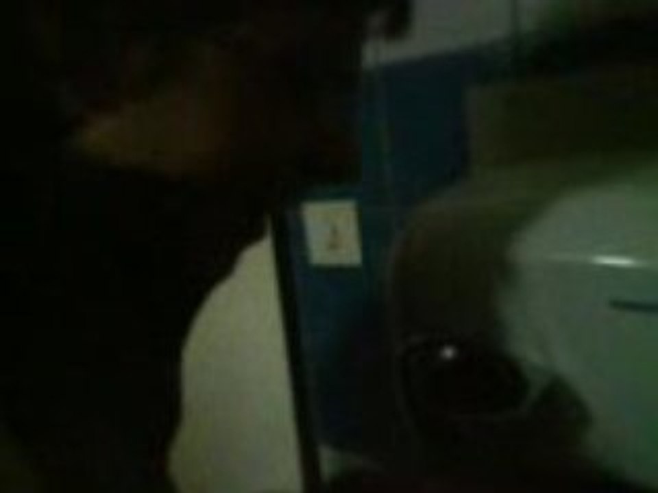 coifeur WC majo